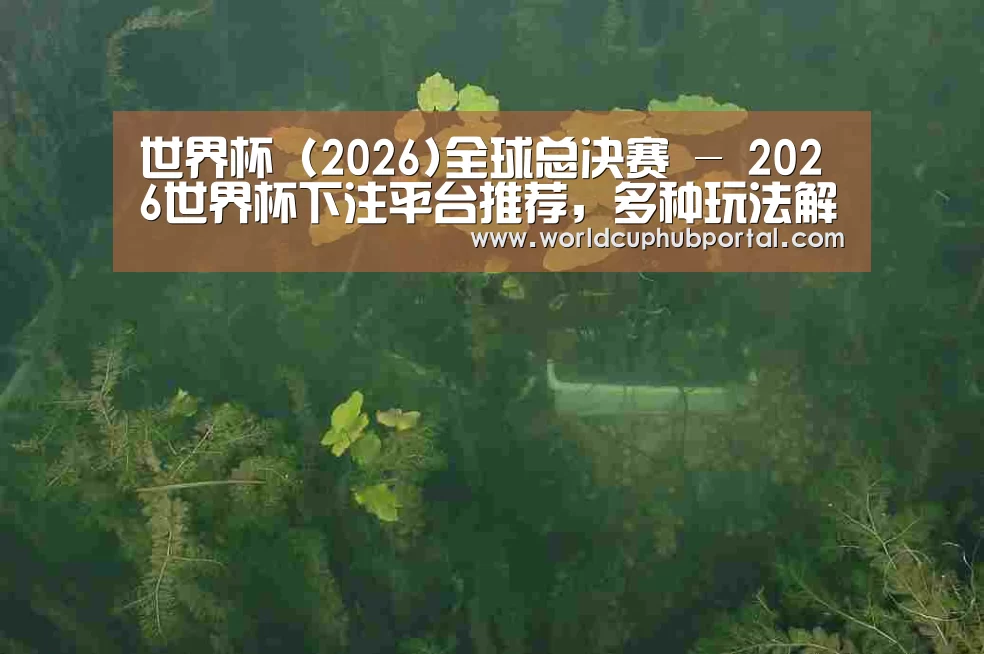 案例展示三(图1)