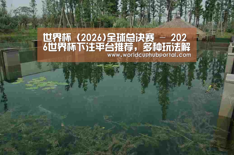 案例展示二(图1)