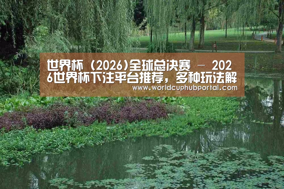 案例展示一