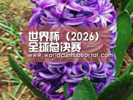 产品名称八