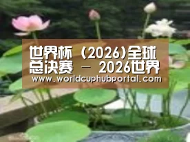产品名称一