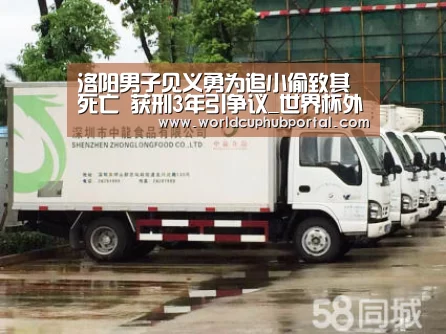 洛阳男子见义勇为追小偷致其死亡 获刑3年引争议_世界杯外围买球(图3) 世界杯外围买球