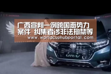 广西宣判一例跨国恶势力案件 纠集者涉非法拘禁等罪获刑九年_2026世界杯(图3) 世界杯买球网站