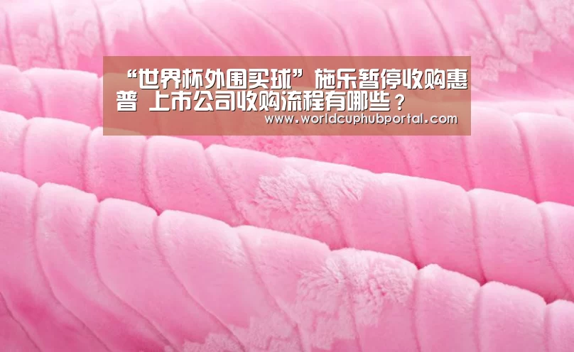 “世界杯外围买球”施乐暂停收购惠普 上市公司收购流程有哪些?(图1) 世界杯投注