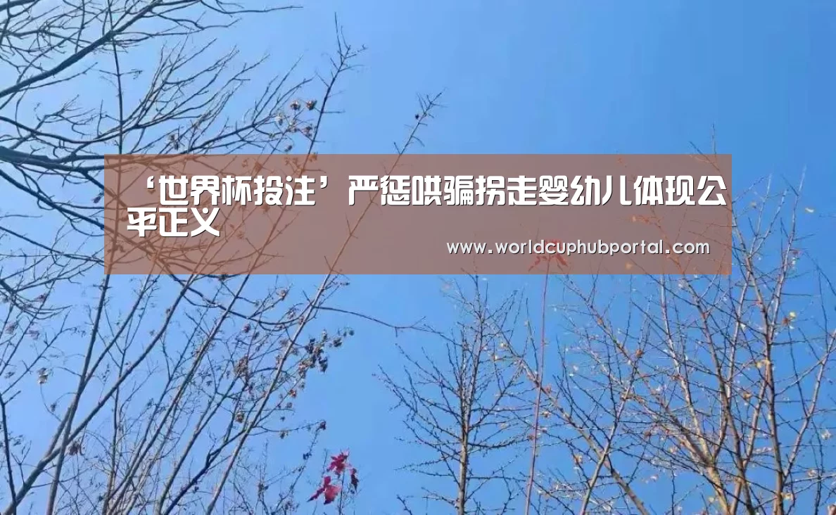 ‘世界杯投注’严惩哄骗拐走婴幼儿体现公平正义(图1) 世界杯投注