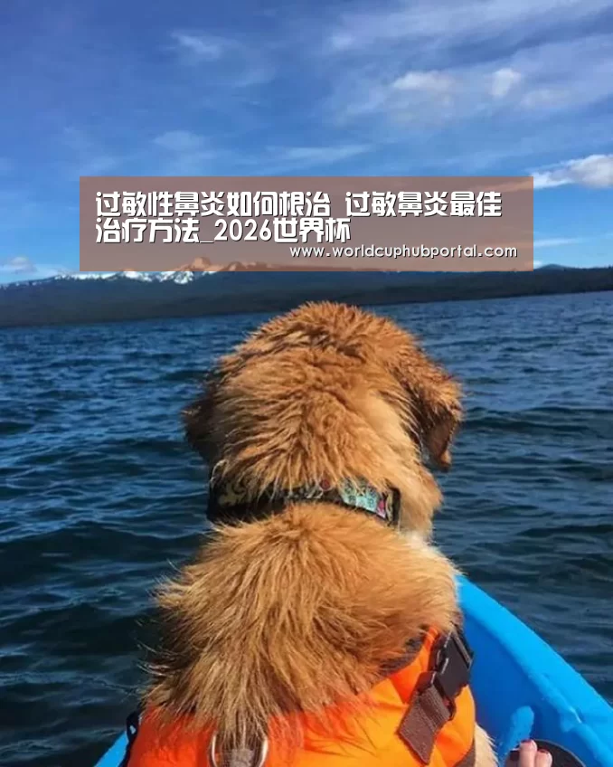 过敏性鼻炎如何根治 过敏鼻炎最佳治疗方法_2026世界杯(图1) 世界杯买球网站