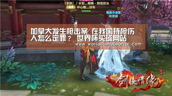 加拿大发生枪击案 在我国持枪伤人怎么定罪?_世界杯买球网站(图3) 世界杯外围买球