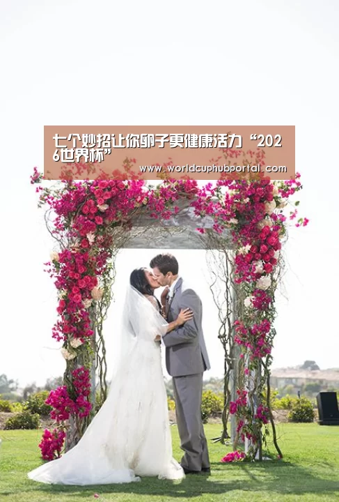 七个妙招让你卵子更健康活力“2026世界杯”(图1) 2026世界杯