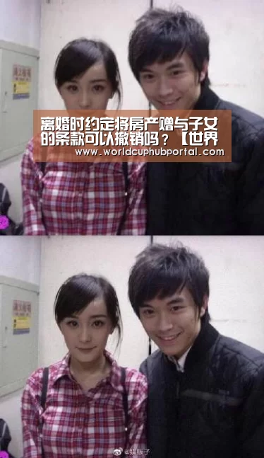 离婚时约定将房产赠与子女的条款可以撤销吗?【世界杯外围买球】(图1) 世界杯买球网站