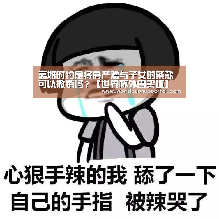 离婚时约定将房产赠与子女的条款可以撤销吗?【世界杯外围买球】(图4) 世界杯投注