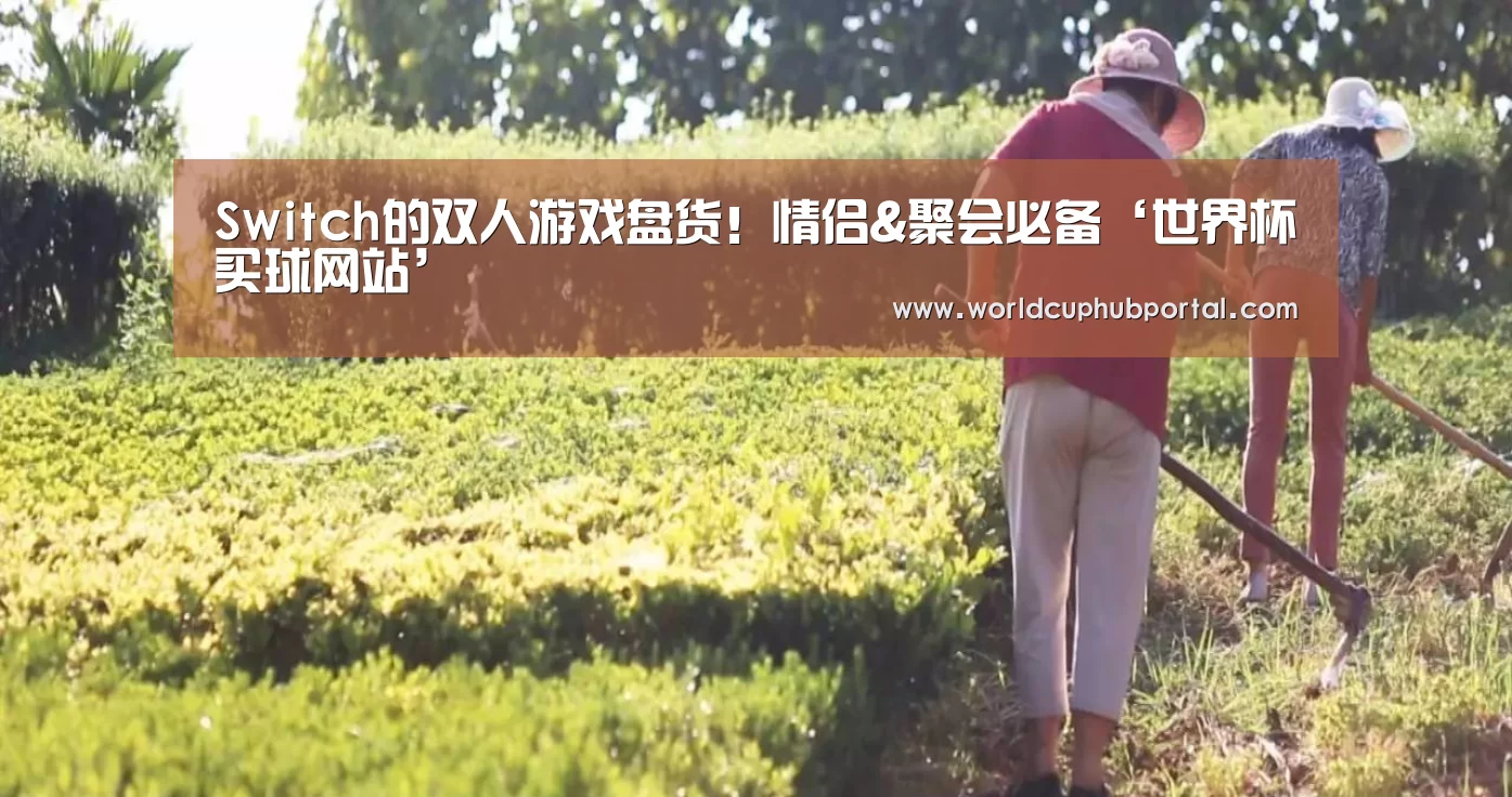 Switch的双人游戏盘货!情侣&聚会必备‘世界杯买球网站’(图2) 世界杯投注