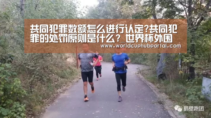 共同犯罪数额怎么进行认定?共同犯罪的处罚原则是什么?_世界杯外围买球(图2) 世界杯外围买球
