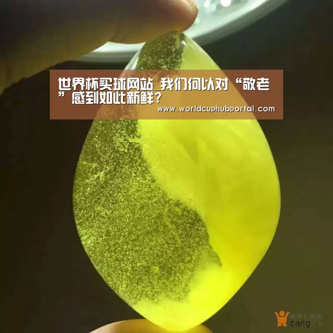 世界杯买球网站_我们何以对“敬老”感到如此新鲜?(图2) 2026世界杯