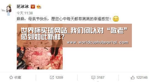 世界杯买球网站_我们何以对“敬老”感到如此新鲜?(图4) 2026世界杯