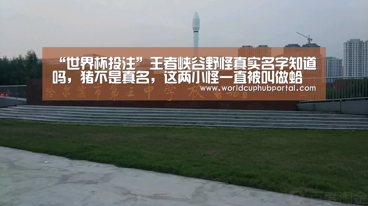 “世界杯投注”王者峡谷野怪真实名字知道吗,猪不是真名,这两小怪一直被叫做蛤蟆(图4) 世界杯买球网站