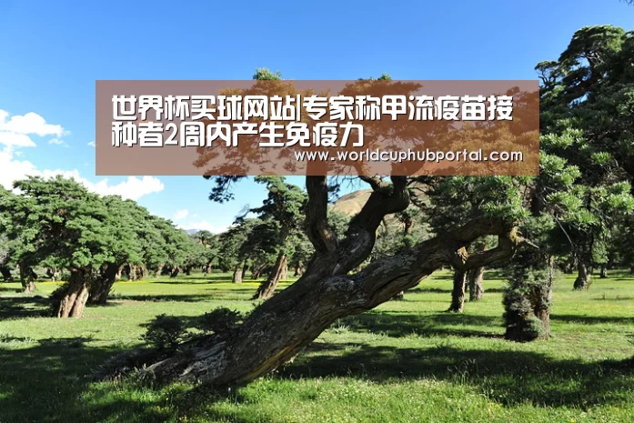 世界杯买球网站|专家称甲流疫苗接种者2周内产生免疫力(图2) 2026世界杯